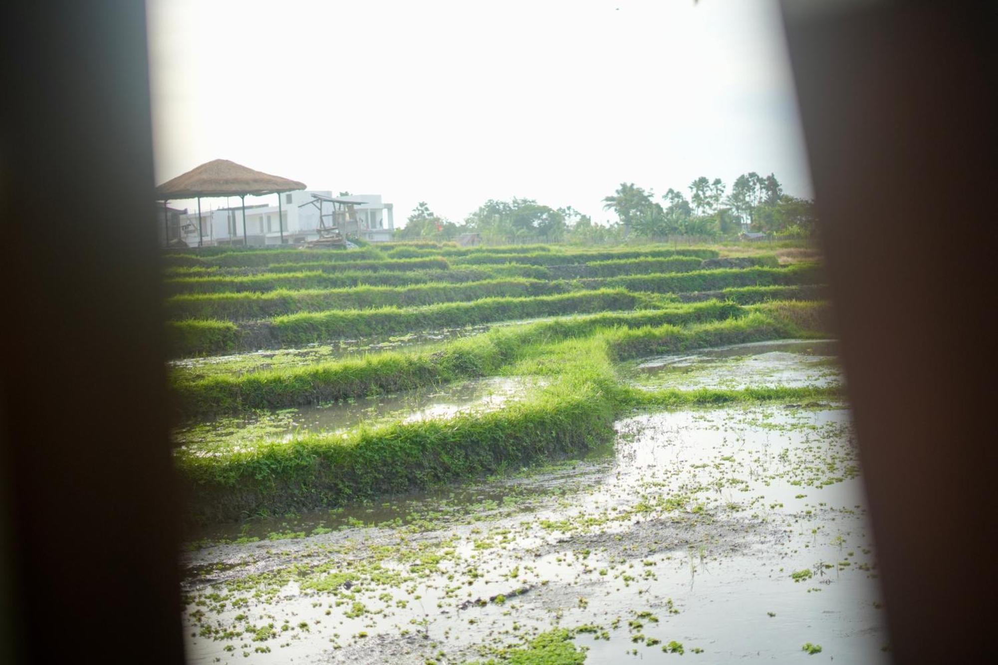 Villa In Seminyak Villa Mitra Dua Ricefield View Relax Керобокан Екстер'єр фото